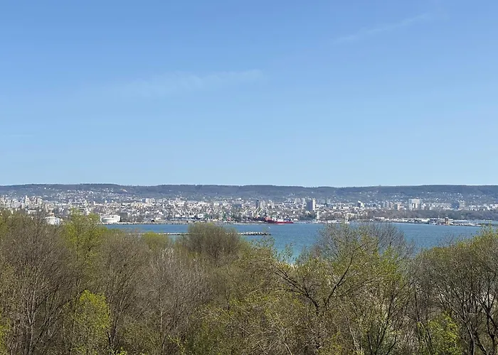 Blue Horizon アパート *